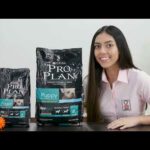 Pro Plan Active Mind: Nutrición para Razas Pequeñas