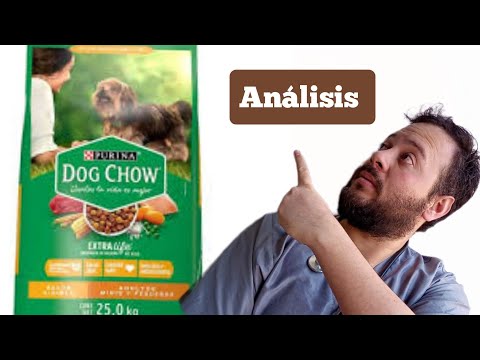 Dog Chow: Alimentación para cachorros medianos y grandes