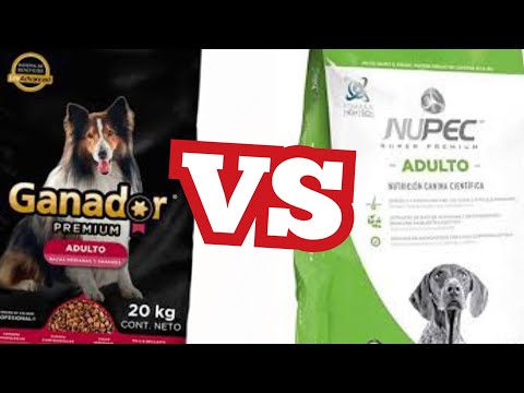 El mejor alimento para perros de razas pequeñas: Ganador Premium 20 kg