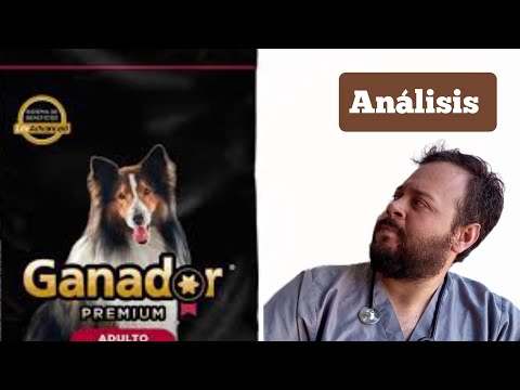 El mejor cachorro ganador premium para razas medianas y grandes