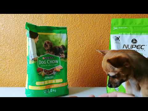 Dog Chow para adultos medianos y grandes: Nutrición completa y balanceada